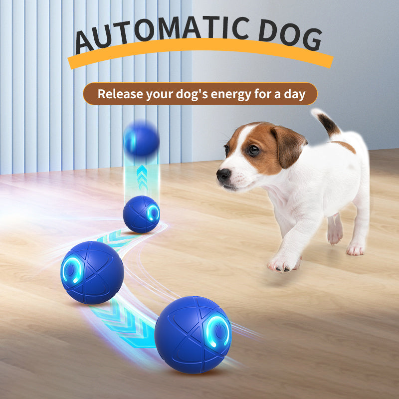 Interactive Smart Dog Toy Ball – 4th Gen